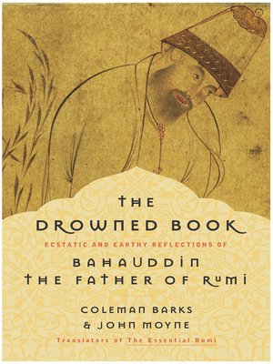 cover image of The Drowned Book